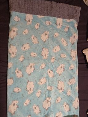 Plush Baby Pillowcase - Blue Cloud Print